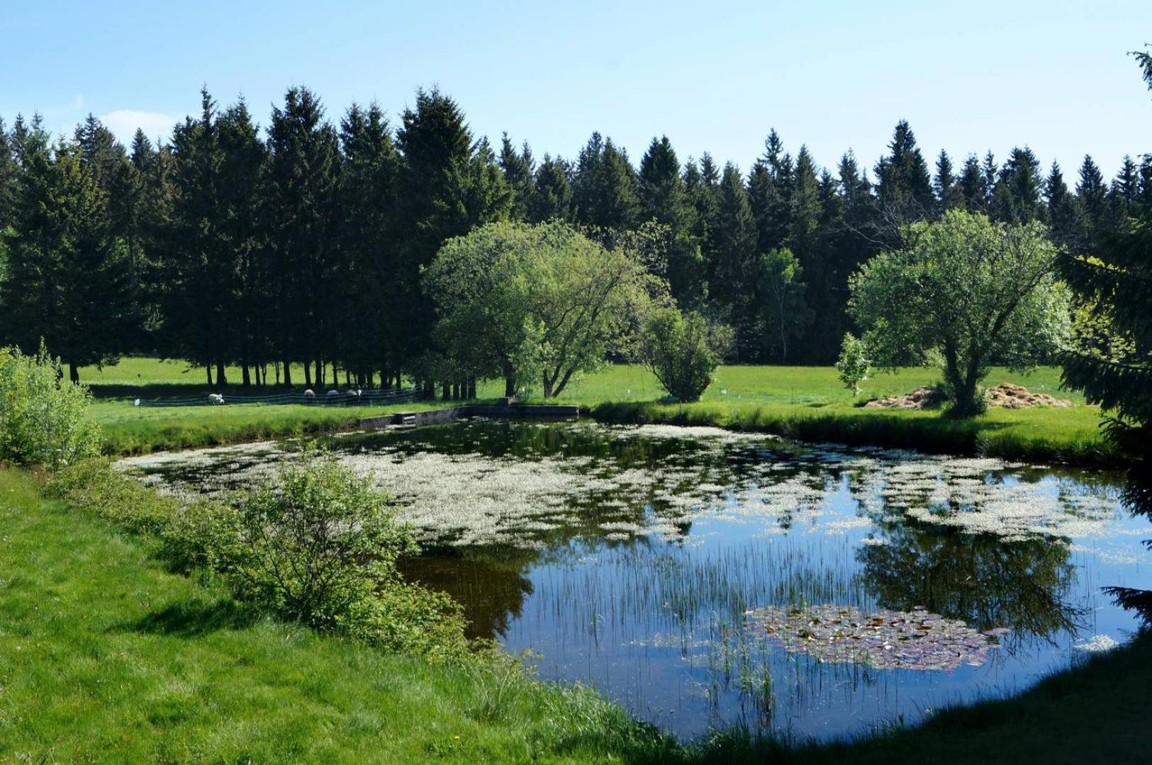 Kammbaude Neuhermsdorf 외부 사진
